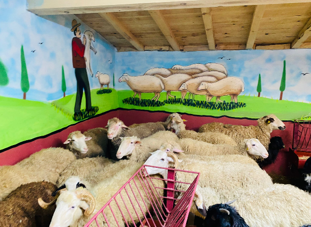 Petrol İş Adak Kurban Kesim ve Dağıtım