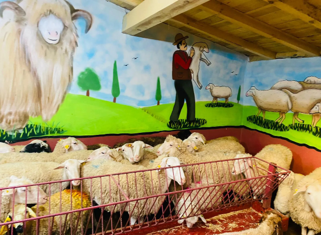 Sağlıklı ve Belgeli Kurbanlıklar