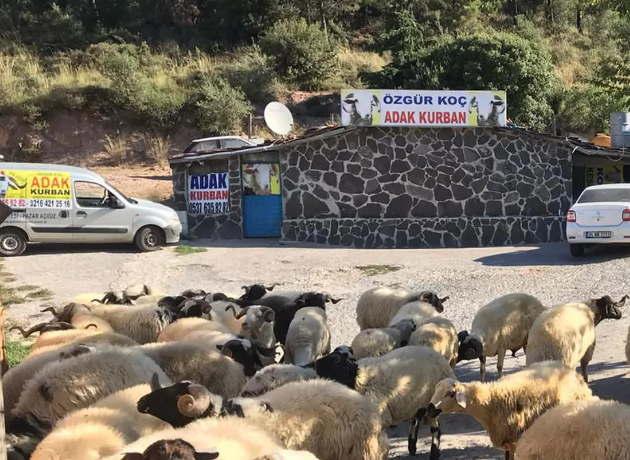 Modern ve Hijyenik Kesim Alanları 